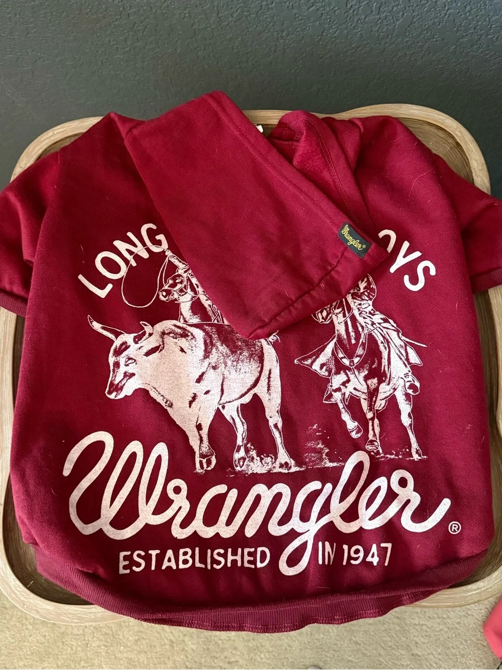 Wrangler Dog Graphic Hoodie with Longhorn Print